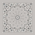 BD252 Bandana Paisley Silver